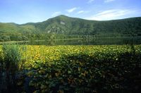 Album fotografico: I laghi di Monticchio